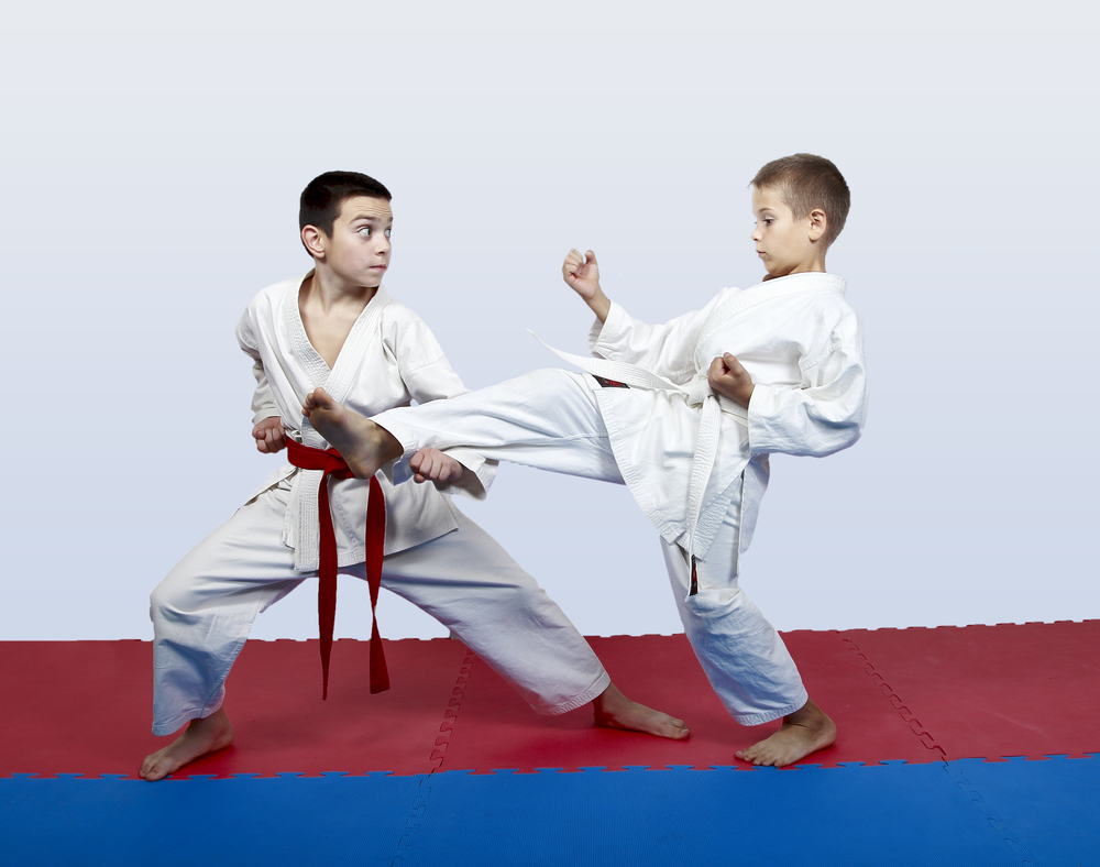 Martial Arts Classes For Kids Near Me - Várias Classes