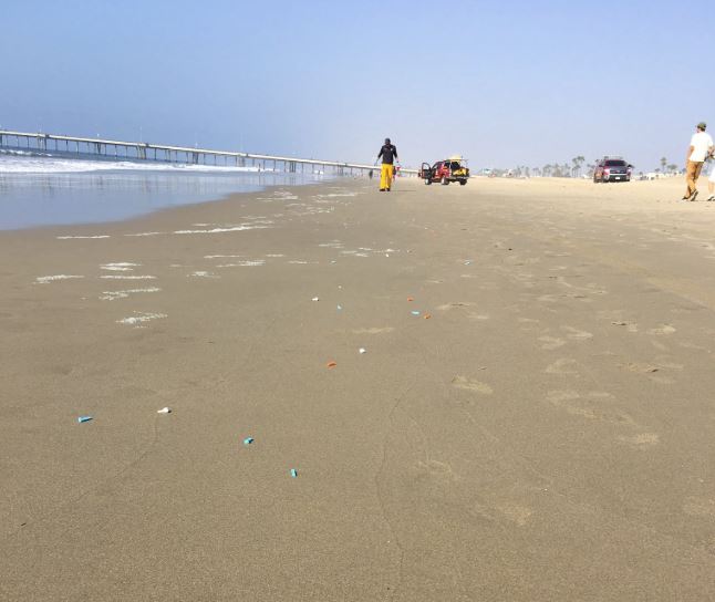 ‘Large Amount’ of Needles, Other Medical Supplies Appear Along Venice Beach Shoreline