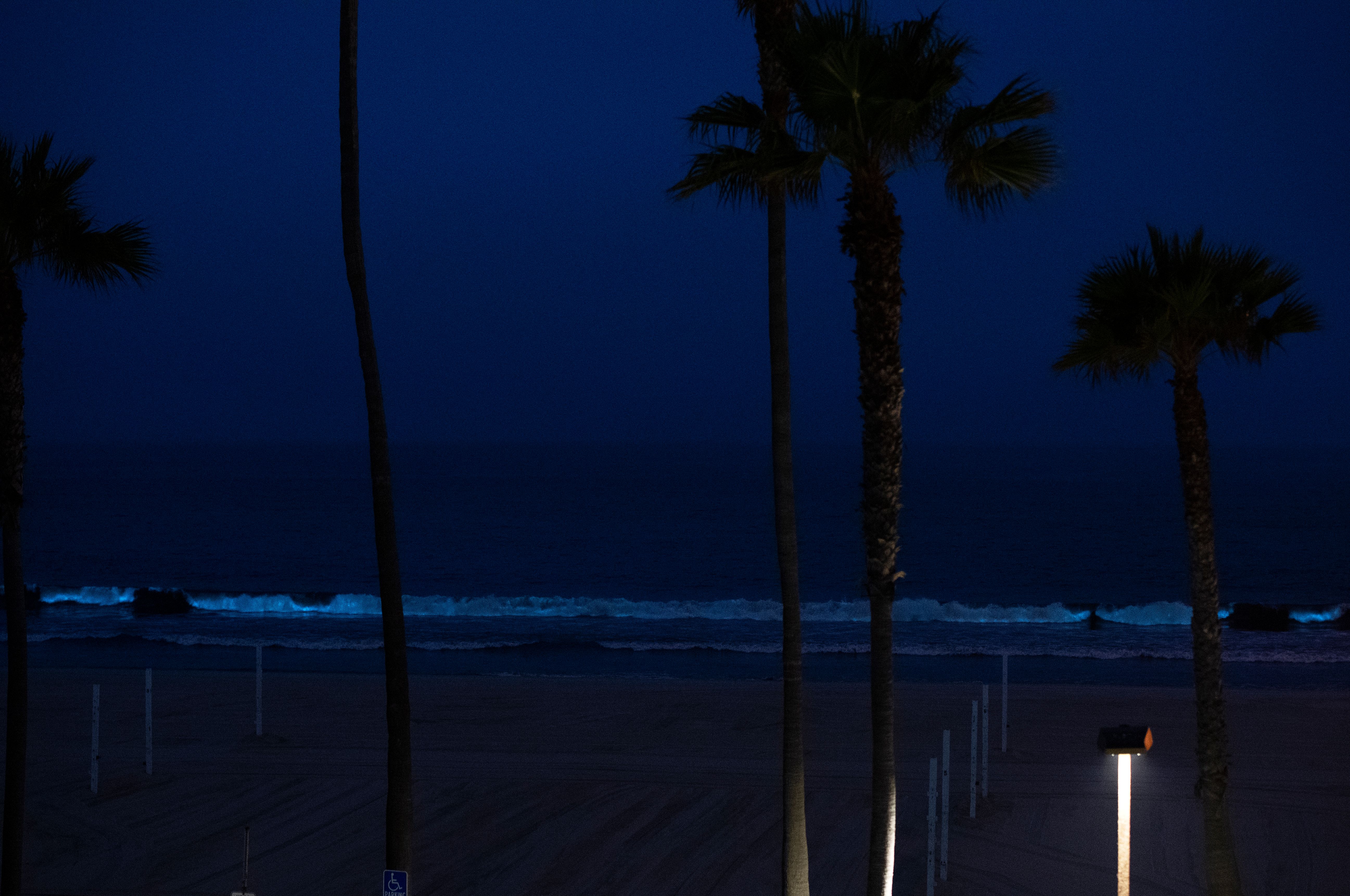 Bioluminescent Waves Light Up Southern California Coasts Cbs Los Angeles