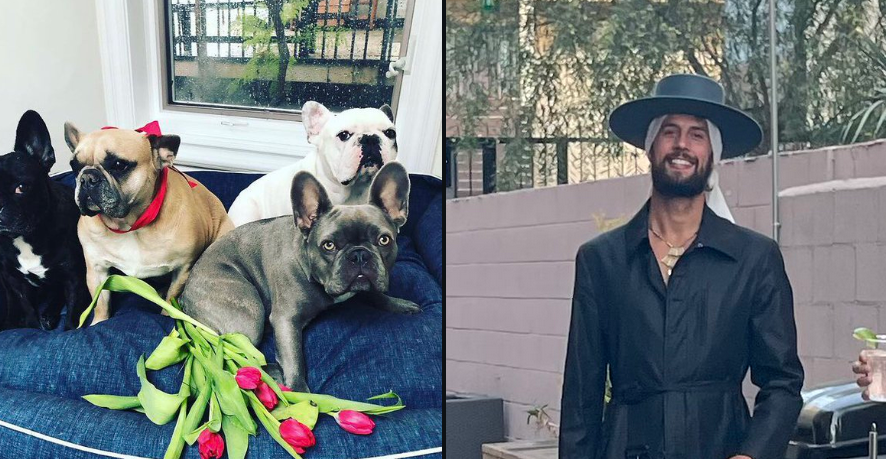 Dogwalker Shot by Lady Gaga, Wounded in Hollywood;  2 Stolen French Bulldogs – CBS Los Angeles