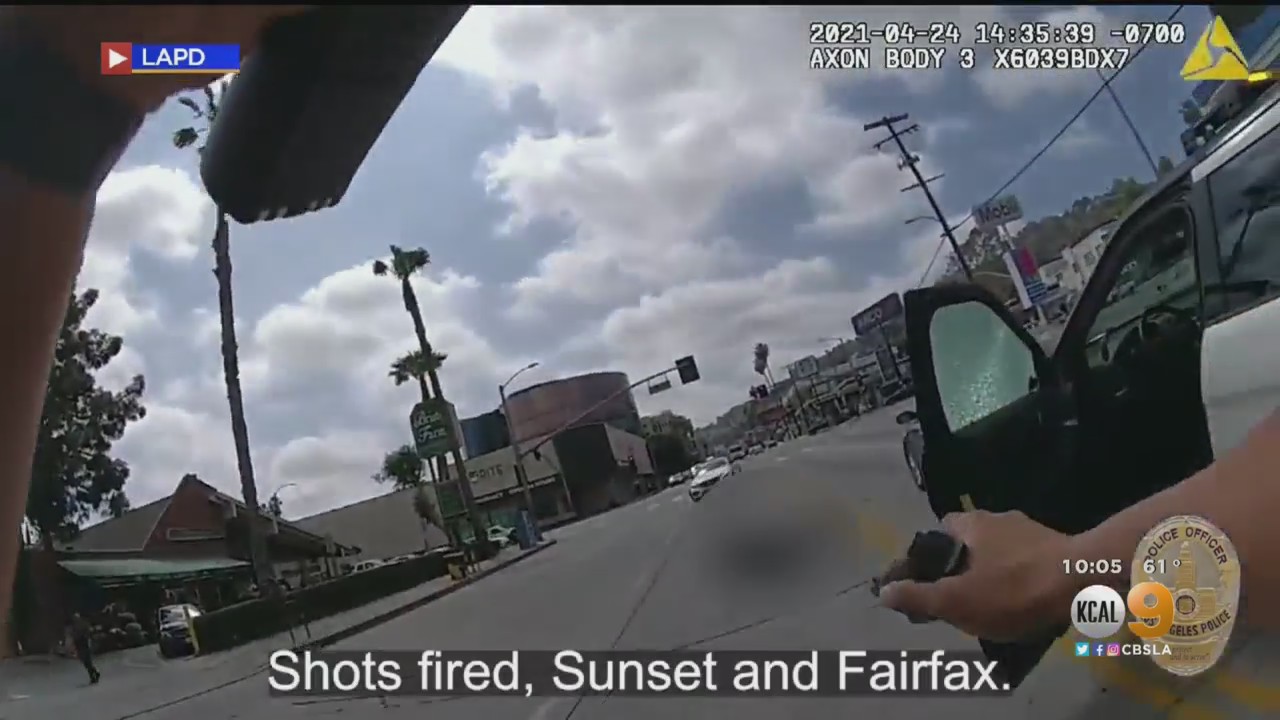 Fatal Hollywood Police Shooting