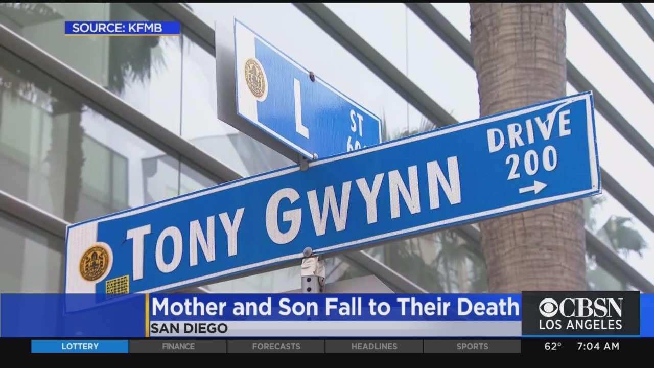 Mother, 2-Year-Old Son Fall To Their Deaths At Petco Park In San Diego