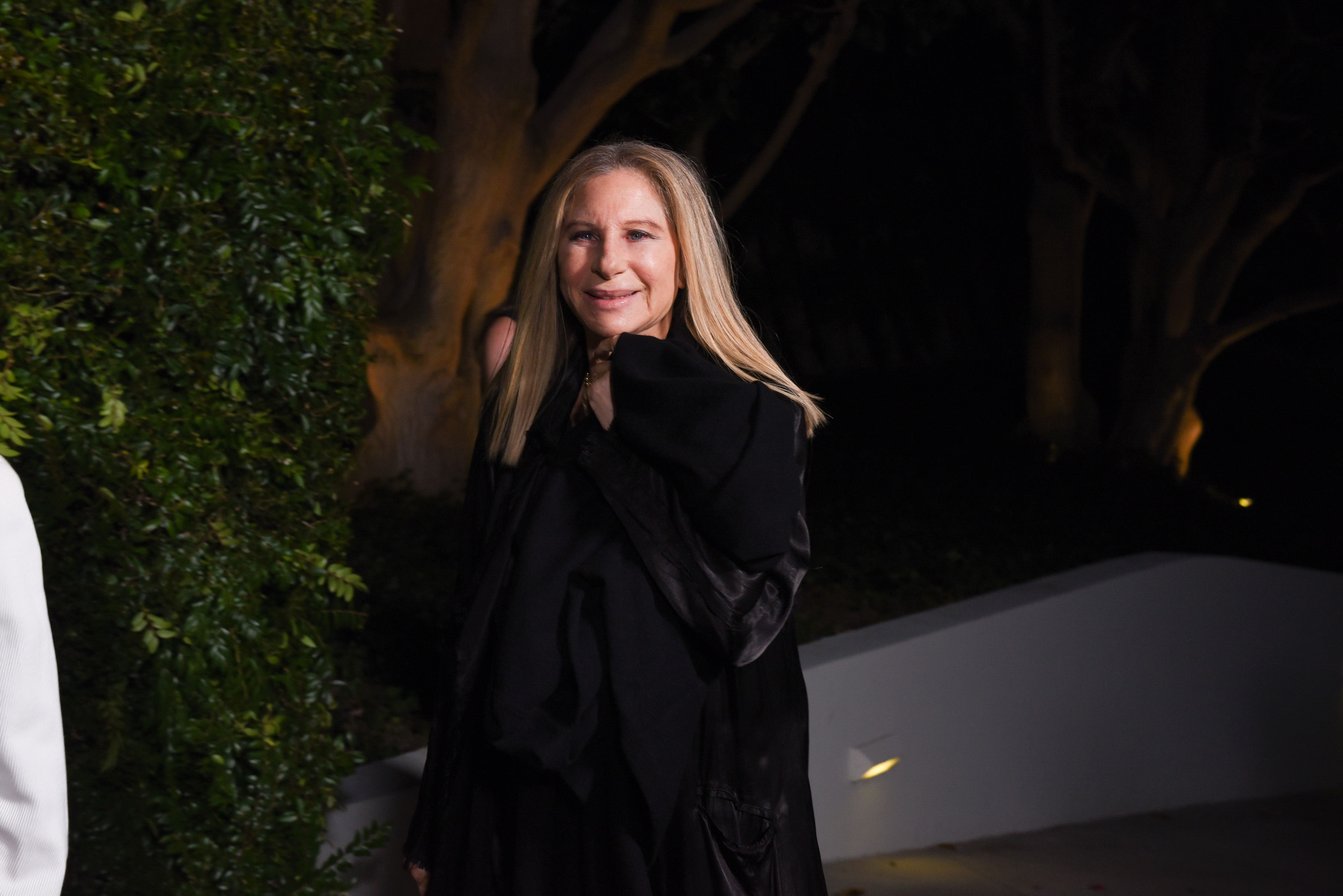 Barbra Streisand Institute To Open At UCLA