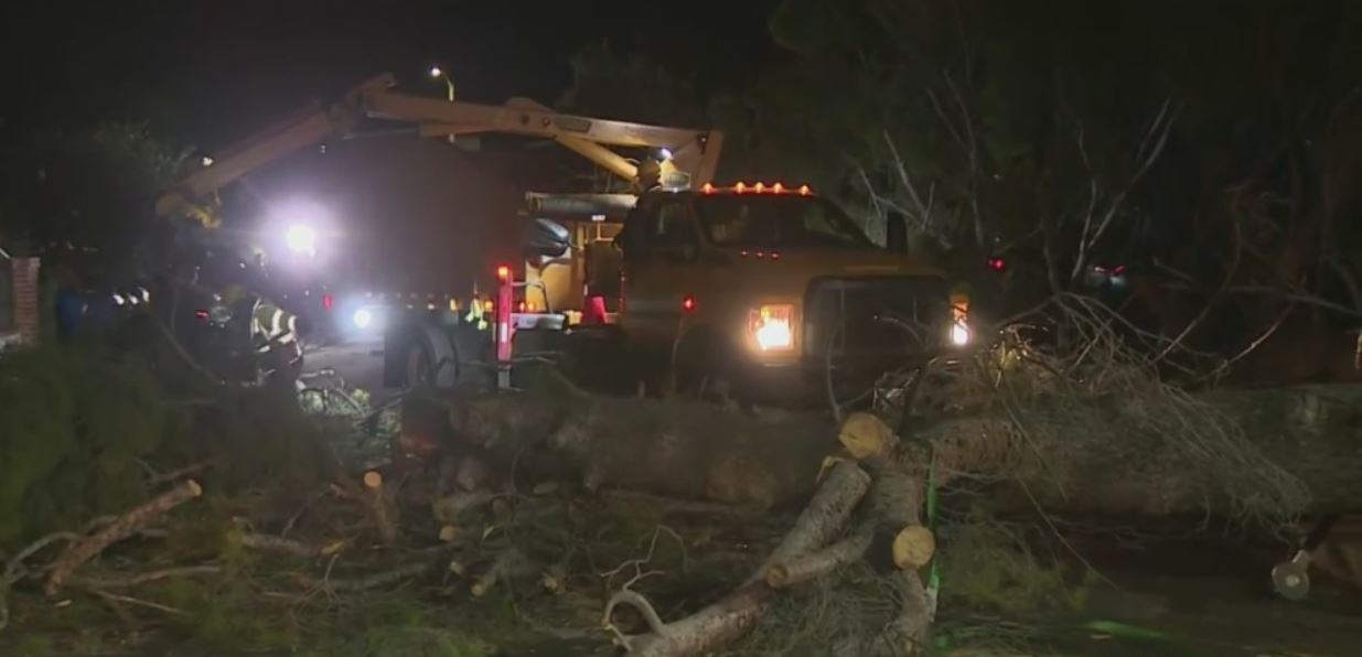 Gusty Santa Ana winds topple 2 trees on same Sylmar property – CBS Los Angeles

 | Breaking News Updates